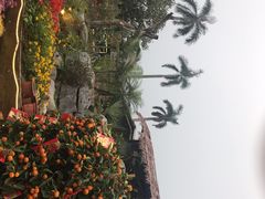 -花溪雨·森林餐厅(石基店)