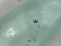 -上海浦东星河湾酒店