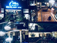 -more than meow吴止猫主题餐厅(承德 中船汇店)