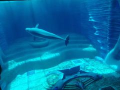 -波塞冬旅游度假区