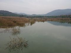 -白马涧龙池景区