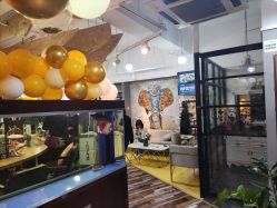 -麻林ML造型烫发染发接发