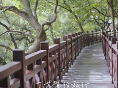 -乌山风景区