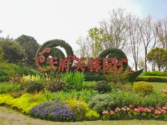 -天府芙蓉园