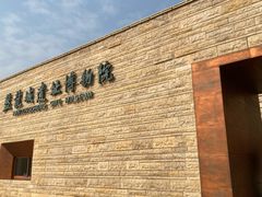 -盘龙城遗址博物院