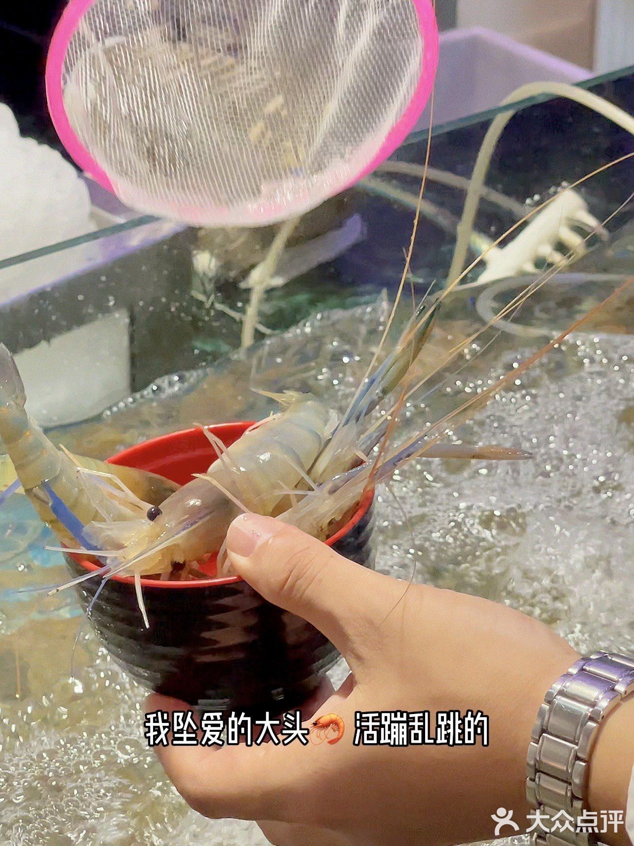 维景自助‼️海鲜吃到爽🦞波龙自由🆓