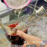 维景自助‼️海鲜吃到爽🦞波龙自由🆓