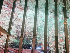 -桂满陇·海市蜃楼·黑金(国金店)