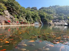 -丹东凤凰山景区