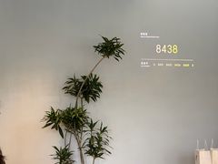 -喜茶(东莞厚街万达店)