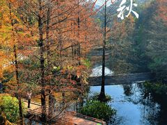 -云溪植物园