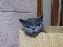 -掌上鲜(南顺城街店)