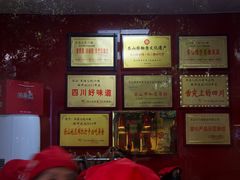 -王浩儿纪六孃甜皮鸭(乐山总店)