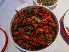 -堕落小龙虾(兰州旗舰店)