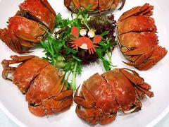 -金典银峰老鹅馆·昆山菜(亭林公园店)