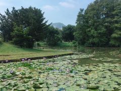 -四海公园(南山区)