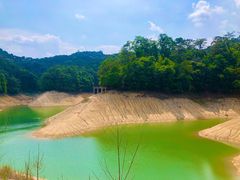 -广州市流溪河国家森林公园