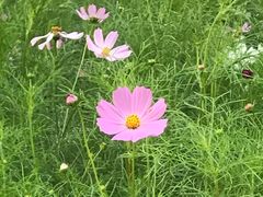 -回龙观体育文化公园