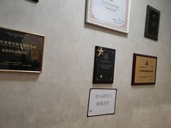 -宠爱国际动物医院·疑难骨科·心肾内科·皮肤科(太阳宫店)