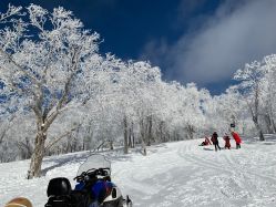 -大秃顶子山