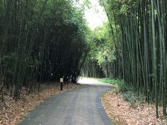 -苏州河梦清园环保主题公园