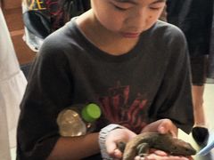 -帕帕拉兹宠物(亚洲旗舰店)