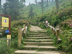 -木兰云雾山