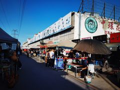 -中环花鸟鱼虫市场