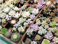 -三旗百汇商品城