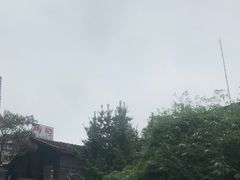 -树厨贵州菜(大十字店)