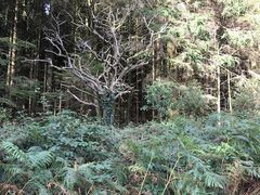 -维乐口腔医院(福清院)