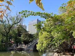 -西苑公园