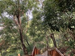 -汕尾铜鼎山旅游区