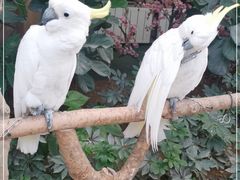 -南宫五洲植物乐园