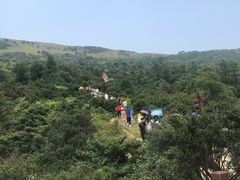 -大姆山草场