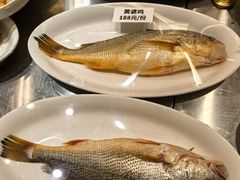 -阿毛饭店首店·宁波老字号(文化广场店)