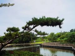 -西安浐灞国家湿地公园