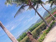 -亚龙湾国际玫瑰谷