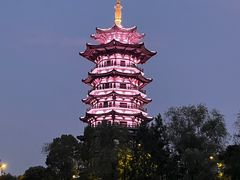 -洋湖国家湿地公园