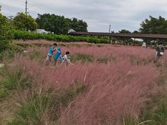 -广东花都香草世界旅游度假区