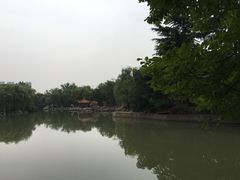 -西苑公园