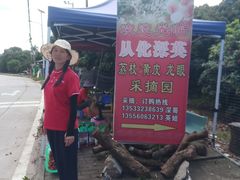 -从化深英荔枝黄皮龙眼采摘园