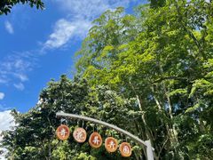 -中国科学院西双版纳热带植物园