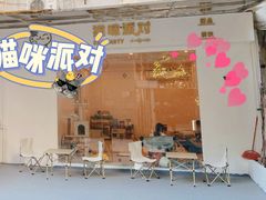 -猫咪派对(江南西店)