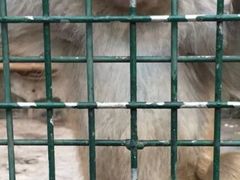 -南京金牛湖风景区