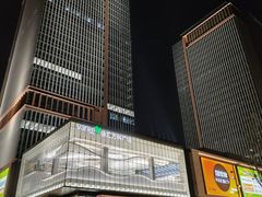 -上海青松城大酒店