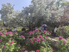 -洛阳市隋唐城遗址植物园