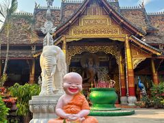 -西双版纳傣族园