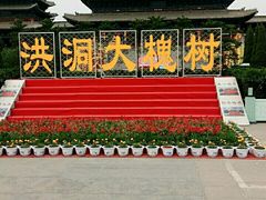 -大槐树寻根祭祖园
