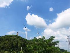 -齐岳山